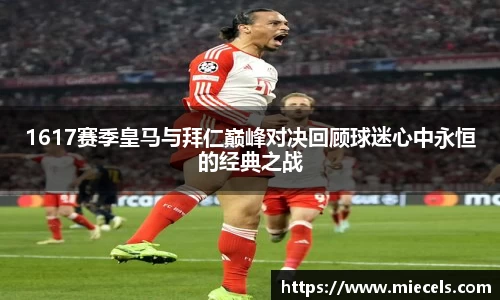 YY SPORTS