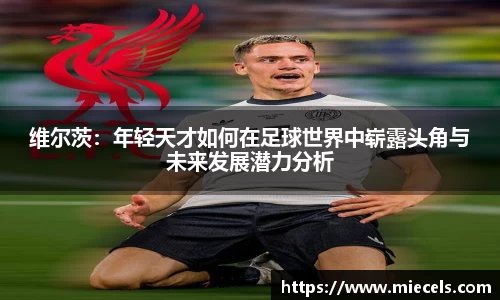 yy易游
